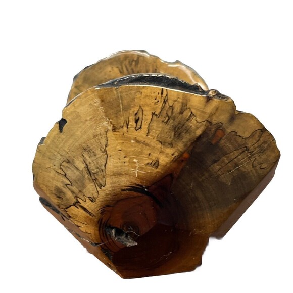 Wood Bowl Live Raw Edge Natural Knots Rustic Home Decor 12x7 Cottage Cabin Beach - Picture 9 of 10